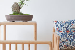 匠心与自然 室内卯榫竹子家具的艺术与魅力